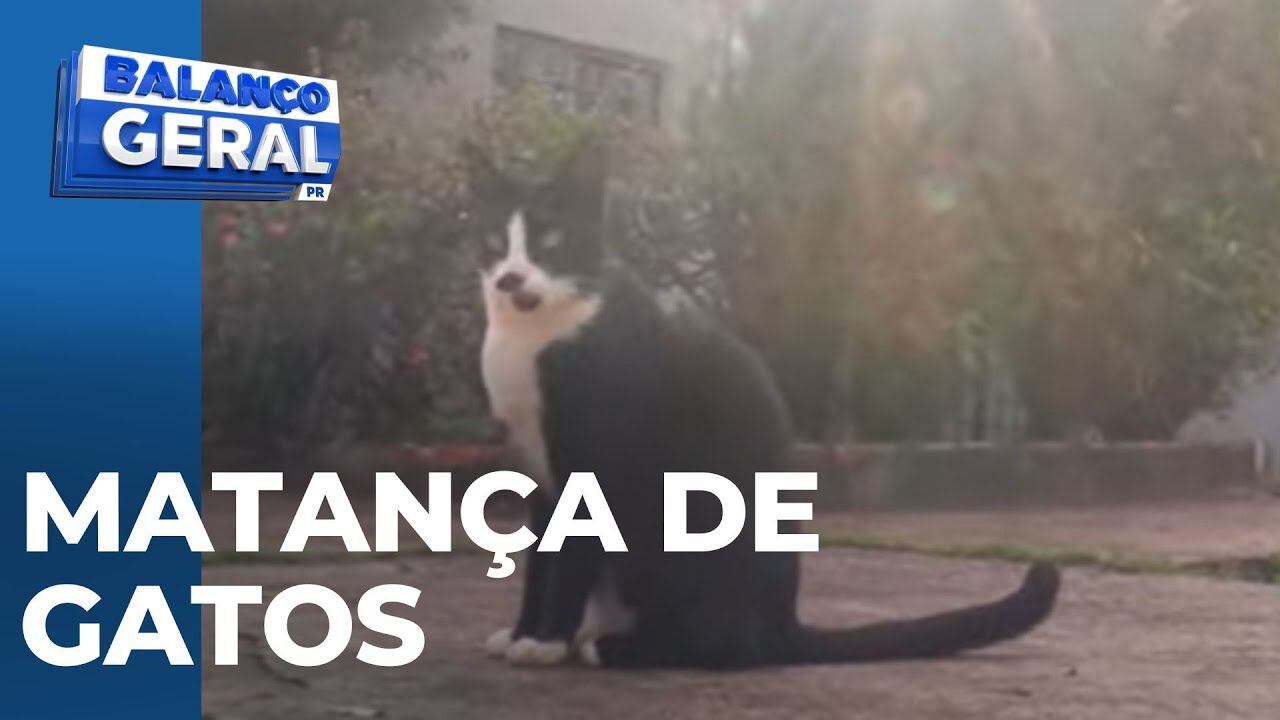 Alerta: Envenenamentos de Pets Aumentam na Região – Noticias R7