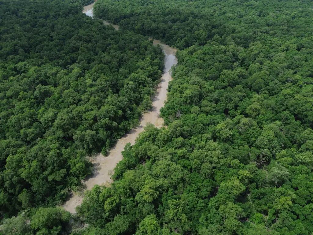 Em Bogot&aacute;, pa&iacute;ses amaz&ocirc;nicos defender&atilde;o fundo para preservar florestas &ndash;  Noticias R7
